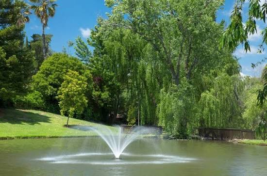 Governor Park in El Dorado Hills, pond with fountain